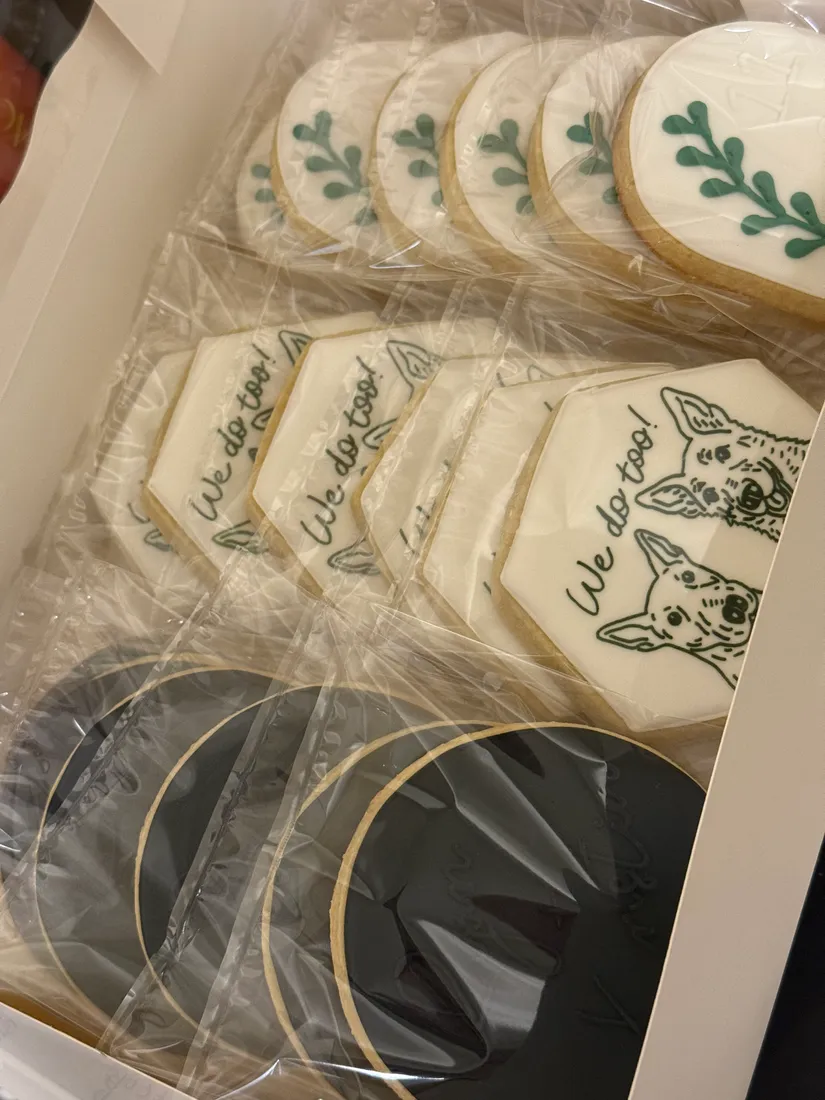 Decorated royal-icing cookies by Jadey — 2